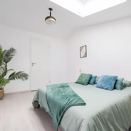 T3 Cosy Renove - Calme & Proche Centre * Bruguieres